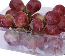 Red Grapes Globe Pack