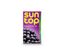 Suntop Black Currant