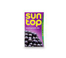 Suntop Black Currant