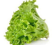 Lettuce