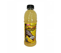Californian Coco Pina