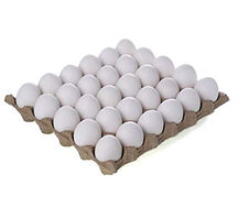 Aladdin Fresh White Eggs