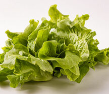 Salade