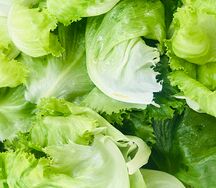 Garden salads