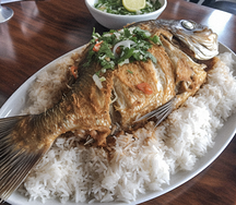 Rice & fish