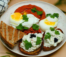 Egg Cellent