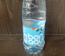 Bonaqua негазированная