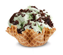 Mint Mint Choc Choc Chip