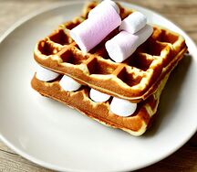 Plain Waffle