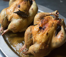 Full baby chicken