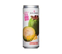 Лимонад натуральный Chiko-Choko фейхоа