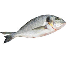 Bream fish