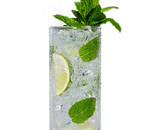 Virgin mojito