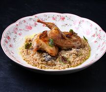 Перепелка гречетто сморчки