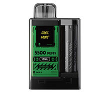 VAPENGIN 5500PUFFS Cool Mint
