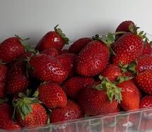 Клубника свежая 