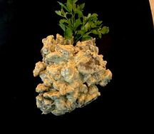 Печень куриная с грибным соусом