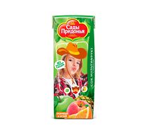 Сок Сады Придонья