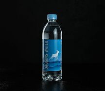 Вода Baggins Water