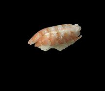 Суши Креветка