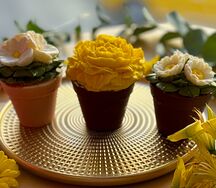 Набор горшочков с ассорти вкусов с нежными начинками