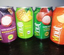 Vinut