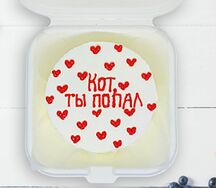 Бенто-торт Кот, ты попал