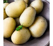Картофель отварной