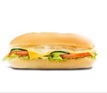 vp1