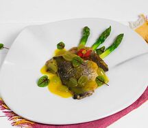 Спинка Дорадо