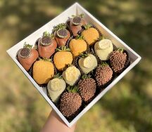 Клубника в шоколаде Shik