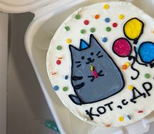 Бенто-торт кот с др  