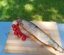 Муксун холодного копчения Море Бофорта