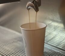 Раф Фисташка-малина