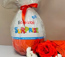 Большое шоколадное яйцо S 