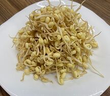 Маш пророщенный свежий