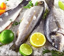 Форель радужная