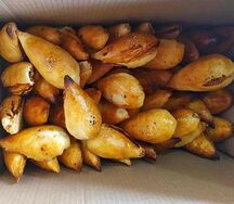 Самса тандырная