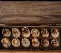 Улитки в белом сырном соусе