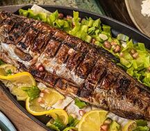 Морская форель