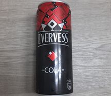 Evervess