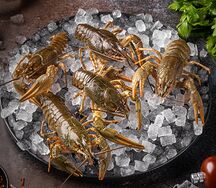 Раки крупные