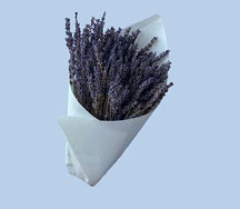 Кулек сухоцветов лаванды