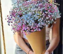 Букет радужной гипсофилы