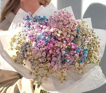 Букет радужной гипсофилы