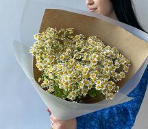 Букет полевых ромашек