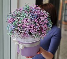 Коробка с радужной гипсофилой