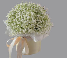 Композиция воздушной гипсофилы