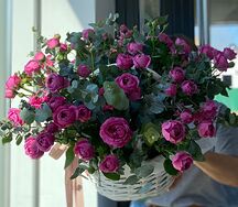 Корзина пионовидных роз Мисти