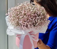 Гипсофила розовая в коробке